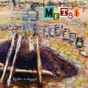 Metsidololo