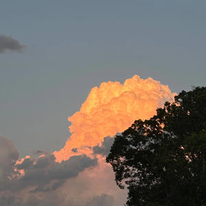 Coasting Heart (Explicit)