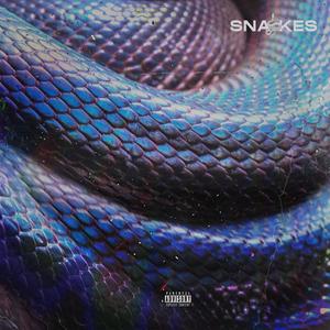 Snake(feat. Jezus Da Don) (Explicit)