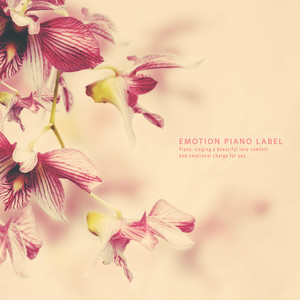 너와 나 그리고 우리 (You and me and us)