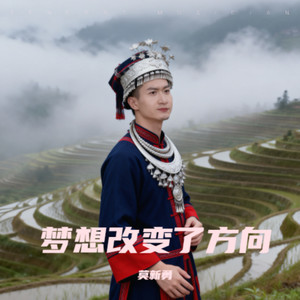 梦想改变了方向