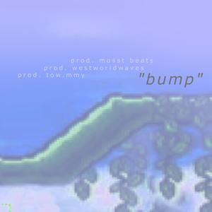 bump (feat. westworldwaves & tow.mmy)