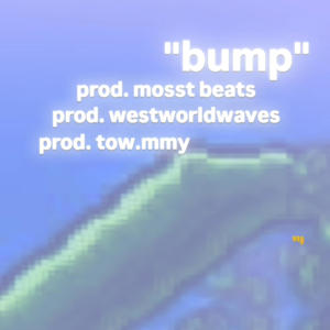 bump (feat. westworldwaves & tow.mmy)