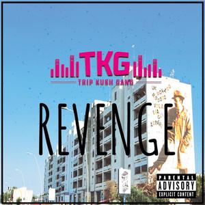 TKG-Revenge (Explicit)