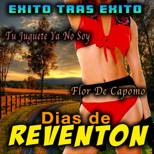 Dias De Reventon Exito Tras Exito