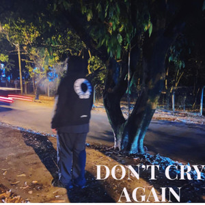 Don't Cry Again (Explicit)