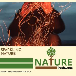 Sparkling Nature - Graceful Fire Sounds Collection, Vol. 6