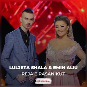 Reja e Pasanikut