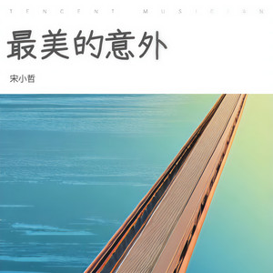 最美的意外