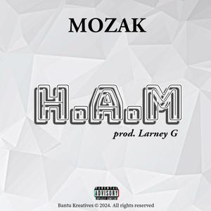 H.A.M (Explicit)