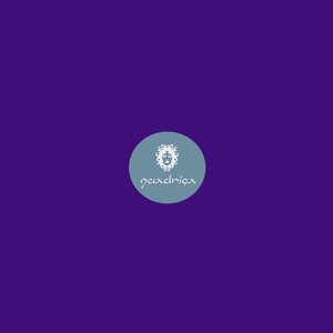 Space Attendant (Extended Mix)