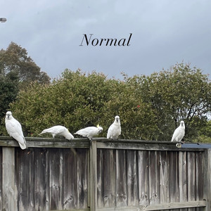 Normal