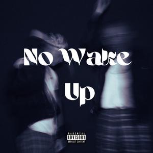 No Wake Up(feat. Caïman Delarivière)