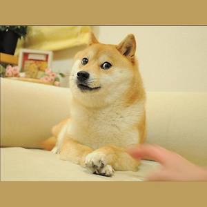 祝你情人节快乐