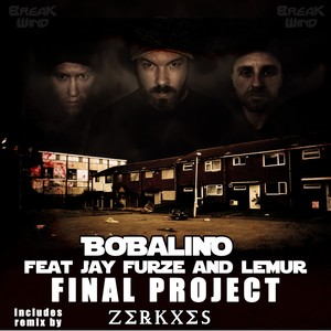 Final Project (Radio Edit)