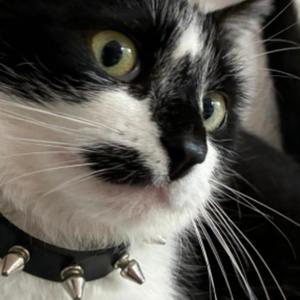 zombie (feat. yuke) (Explicit)