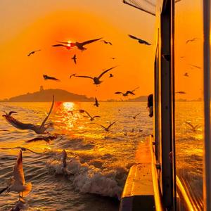 再过50年我们来相会