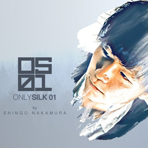 Only Silk 01 (Continuous DJ Mix)
