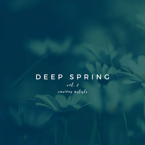 The Strings (Romantique Mix)