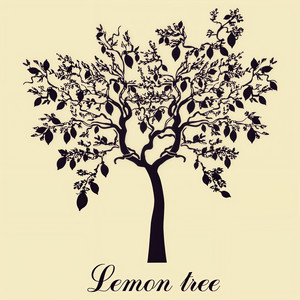 Jemme - Lemon Tree