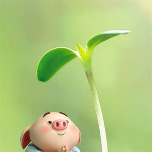 吴惠美 - 你最近过得还好吗