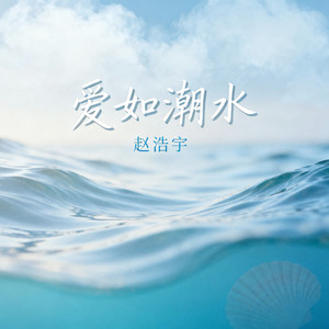 爱如潮水(我再也不愿见你在深夜里买醉)