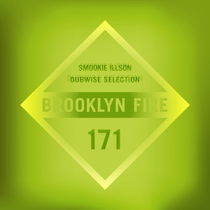 Dubwise Selection (Original Mix)