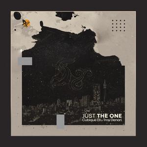 Just The One(feat. Troy Denari)