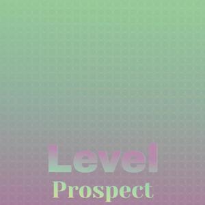 Level Prospect