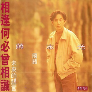 相逢何必曾相识 (Karaoke Version)