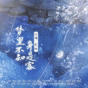 梦里不知身是客