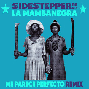 Me Parece Perfecto (Sidestepper Remix)