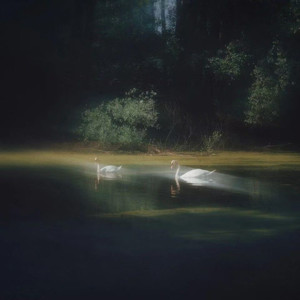 昨日的雨曾淋漓过她瘦弱的肩膀（R&B）