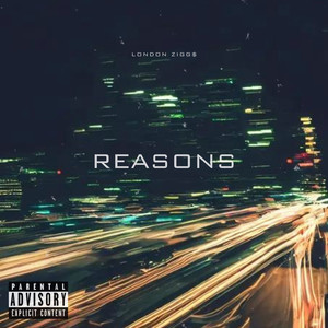 Reasons (Explicit)