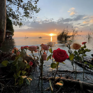 难评 (我们好像从来都没有见过)