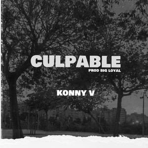 CULPABLE