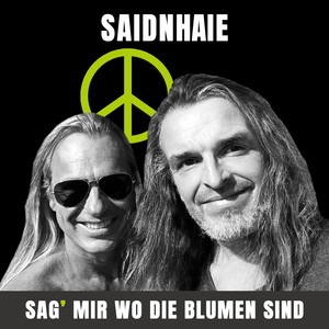 Sag' mir, wo die Blumen sind