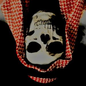 TERRORIST SONG (feat. Scrapper) (Explicit)