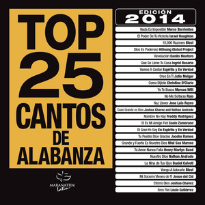 Top 25 Cantos De Alabanza (Edición 2014)