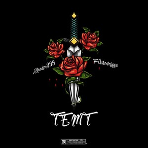 TEMT (feat. Fr3skoelnigga) [Explicit]