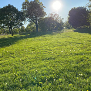 Swiper.Exe (feat. SMR Green) (Explicit)