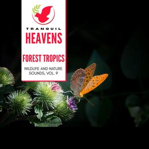 Forest Tropics - Wildlife and Nature Sounds, Vol. 9