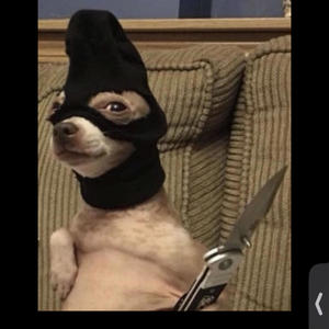 Hey (feat. Tiddy) (Explicit)