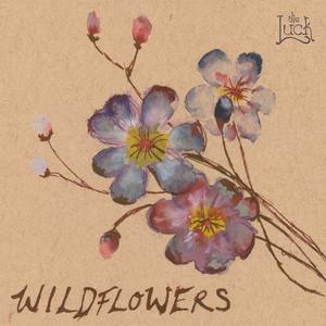 Wildflowers