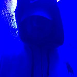 FDB x Freestyle (Explicit)