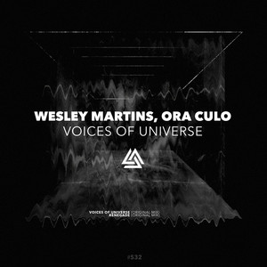 Voices of Universe (Original Mix)