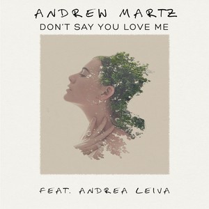 Don't Say You Love Me (feat. Andrea Leiva)