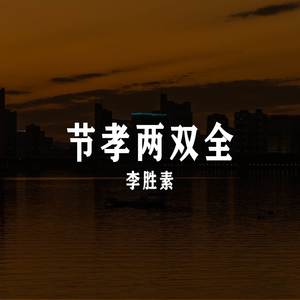 武家坡2封面