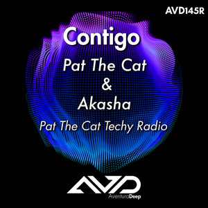 Contigo (Pat The Cat Techy Radio)