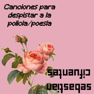 Canciones para despistar a la policía/poesía